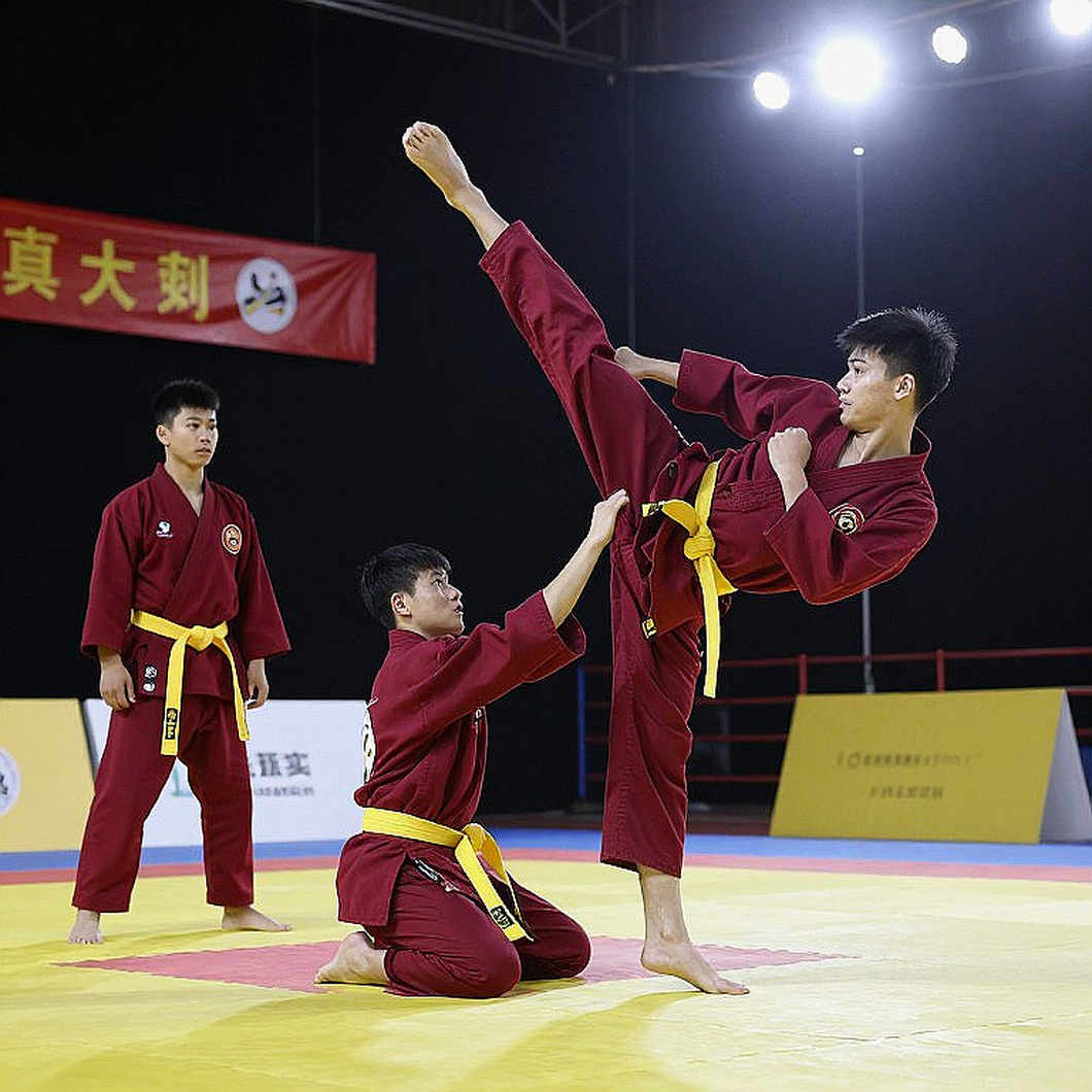 Võ thuật dưới một cái tên: sáu bộ luật, một nhãn ngành và khoảng trống mà dữ liệu để lại