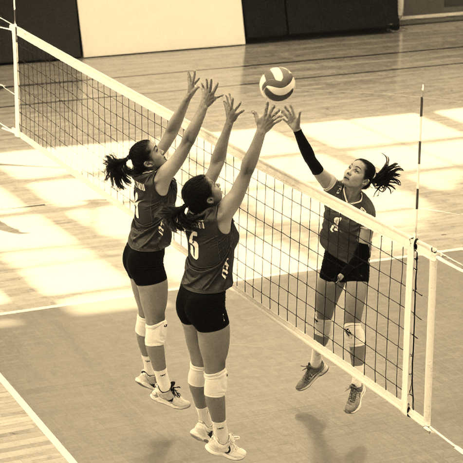 Vietnam Women's Volleyball: Perfect-Pass Rate, Stuck Rotations and the Real Limit of a Cycle Vietnam Women's Volleyball: Perfect-Pass Rate, Stuck Rotations and the Real Limit of a Cycle